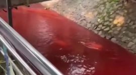 Geger! Air Kali di Serpong Tangsel Berwarna Merah Darah