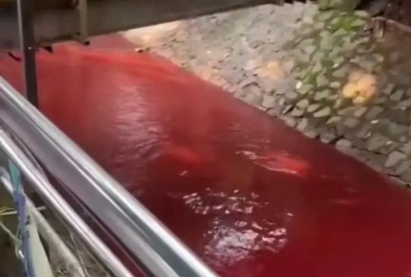 Geger! Air Kali di Serpong Tangsel Berwarna Merah Darah