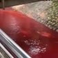 Geger! Air Kali di Serpong Tangsel Berwarna Merah Darah