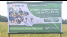 Dana Fantastis!! 33 Poktan di Ngada Kelola 1.341 Hektar Lahan Sawah, Kementan Gelontorkan 6 Miliar Lebih. (Foto: Elfrat Frans Dhena)