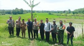 Kebersamaan TNI, Polri, dan pemerintah desa menguat di tengah kegiatan kunjungan lapangan dan silaturahmi di area persawahan Ranca Iyuh.