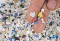 Ilustrasi: Partikel mikroplastik yang ditemukan di lautan. (Foto: Florida Sea Grant/CC BY-NC-ND 2.0 melalui eco-business.com)