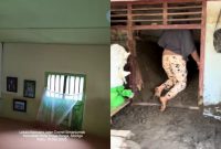 Banjir bandang Sumatera November 2025: Hampir 1000 korban tewas. Simak kisah pilu warga Pidie Jaya & Sibolga yang rumahnya terkubur lumpur setinggi atap pasca air surut. Upaya penanggulangan dan data terbaru BNPB. (Instagram/hadisitanggan - TikTok/r.f_95)