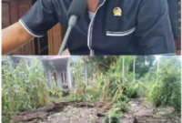 Anggota DPRD Ngada, Aleksander Yohanes 