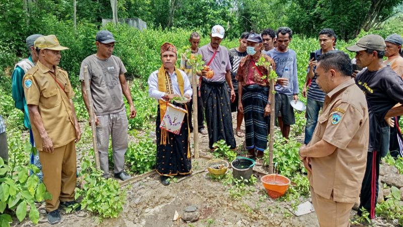Ritual adat peletakan batu pertama pembangunan Kantor Desa Tangitoto, Kobakua dipimpin langsung oleh Yohanes Raja selaku pemangku hak ulayat di wilayah tersebut. (Metrosiar)