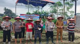 Kapolsek Kresek pimpin penanaman jagung hibrida di Desa Talok sebagai dukungan Polri terhadap program ketahanan pangan nasional(PWGK/Metrosiar)