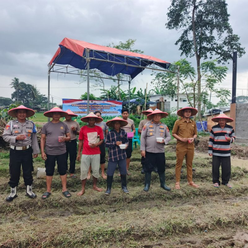 Kapolsek Kresek pimpin penanaman jagung hibrida di Desa Talok sebagai dukungan Polri terhadap program ketahanan pangan nasional(PWGK/Metrosiar)