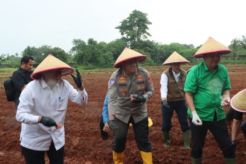 Bupati Tangerang dan Kapolresta menanam jagung hibrida di Panongan sebagai langkah memperkuat ketahanan pangan dan swasembada nasional(PWGK/Metrosiar)