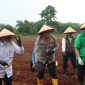 Bupati Tangerang dan Kapolresta menanam jagung hibrida di Panongan sebagai langkah memperkuat ketahanan pangan dan swasembada nasional(PWGK/Metrosiar)