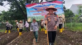 Kapolsek Pasar Kemis AKP Humaedi memimpin langsung kegiatan penanaman jagung serentak kuartal I tahun 2026 di Desa Gelam Jaya, Kecamatan Pasar Kemis, Kabupaten Tangerang.