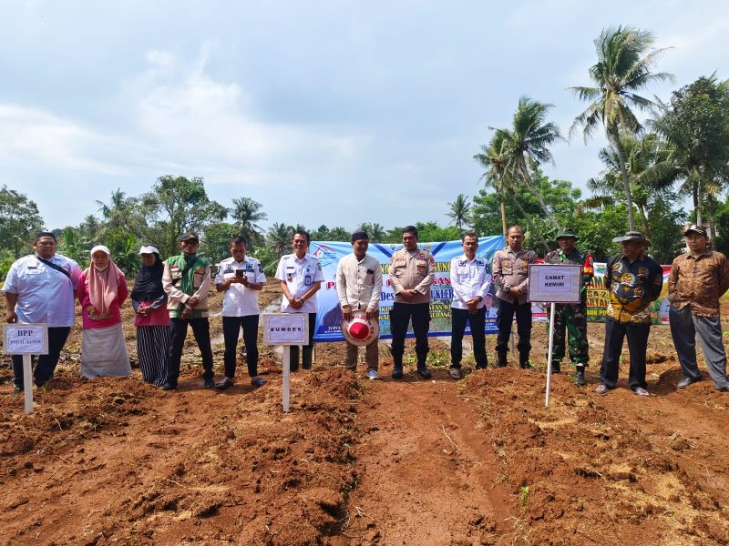 Kolaborasi TNI-Polri dan BUMDesa, Camat Kemiri Rudi HK Pimpin Tanam Jagung Perdana di Klebet(FJK/Metrosiar)
