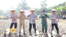 Wakapolda Banten Brigjen Pol Hendra Wirawan bersama unsur TNI, Pejabat Utama Polda Banten, dan perwakilan pemerintah daerah saat mengikuti kegiatan penanaman jagung di Kecamatan Cikeusal.