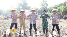 Wakapolda Banten Brigjen Pol Hendra Wirawan bersama unsur TNI, Pejabat Utama Polda Banten, dan perwakilan pemerintah daerah saat mengikuti kegiatan penanaman jagung di Kecamatan Cikeusal.