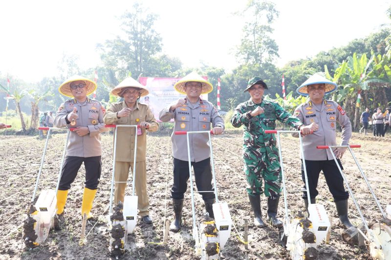 Wakapolda Banten Brigjen Pol Hendra Wirawan bersama unsur TNI, Pejabat Utama Polda Banten, dan perwakilan pemerintah daerah saat mengikuti kegiatan penanaman jagung di Kecamatan Cikeusal.