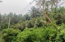 Tiang listrik yang tampak miring di wilayah Pamolongan, Desa Salassa, dikeluhkan warga karena dinilai membahayakan pengguna jalan dan rawan roboh sewaktu-waktu.