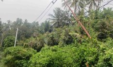 Ngeri! Tiang Listrik di Pamolongan Desa Salassa Nyaris Roboh, Warga Takut Melintas