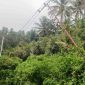 Tiang listrik yang tampak miring di wilayah Pamolongan, Desa Salassa, dikeluhkan warga karena dinilai membahayakan pengguna jalan dan rawan roboh sewaktu-waktu.