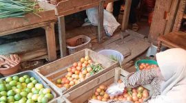 Pedagang menunjukkan tomat yang mengalami kenaikan harga hingga tembus Rp900 ribu per peti.