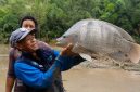 Sarman, S.Pi. memperlihatkan ikan nila jumbo berbobot 6,5 kilogram hasil budidaya kelompok pembudidaya ikan di Kecamatan Alla, Kabupaten Enrekang.