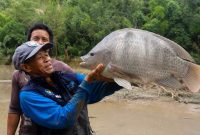 Sarman, S.Pi. memperlihatkan ikan nila jumbo berbobot 6,5 kilogram hasil budidaya kelompok pembudidaya ikan di Kecamatan Alla, Kabupaten Enrekang.