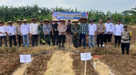 Kapolsek Pasar Kemis AKP Humaedi, S.H. (tengah) bersama Danramil Pasar Kemis Mayor Sidik Afriansah dan unsur pemerintah serta kelompok tani berfoto usai kegiatan penanaman jagung serentak di Desa Sukamantri.