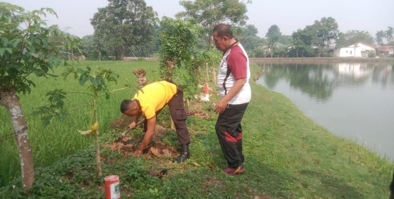 Personel Polsek Pasar Kemis melakukan penanaman pohon rambutan di area Kampung Waru, Desa Sukaharja, Kecamatan Sindang Jaya, Kabupaten Tangerang.