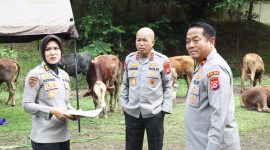 Jajaran Polda Banten melakukan pengecekan kondisi hewan kurban guna memastikan kesehatan dan kelayakan sebelum didistribusikan kepada masyarakat dalam rangka Idul Adha 1447 H.