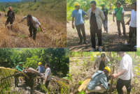 Lahan Tandus, Tapi Pikiran Tak Pernah Tumbang! Kelompok Tani Solidaritas Sulap Bhogipole Jadi Kawasan Produktif.