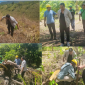 Lahan Tandus, Tapi Pikiran Tak Pernah Tumbang! Kelompok Tani Solidaritas Sulap Bhogipole Jadi Kawasan Produktif.