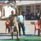 Ketua Komunitas MasGibol yang juga Menjabat Ketua DPRD Ngada, Romilus Juji melakukan Servis Perdana tanda Dimulainya Turnamen Voli Putri Spendu Cup I antar SD/MI. (Foto: Elfrat Frans Dhena).