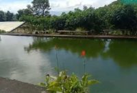 Kolam Pembesaran Ikan Bejo. (Foto: Elfrat Frans Dhena)