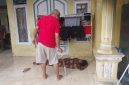 Warga bersama personel kepolisian melakukan pengecekan terhadap perempuan paruh baya yang ditemukan di Kampung Pasar Begog, Kecamatan Pontang.