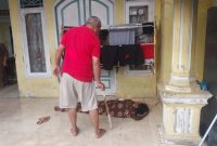 Warga bersama personel kepolisian melakukan pengecekan terhadap perempuan paruh baya yang ditemukan di Kampung Pasar Begog, Kecamatan Pontang.