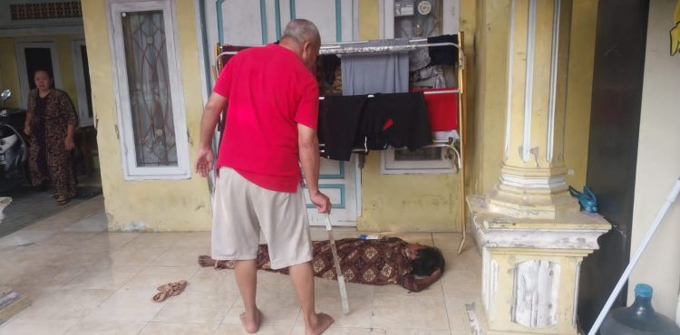 headline-foto