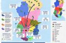 Infografis Distribusi Bantuan Korban Gempa. (Foto: Posko BPBD Ngada).