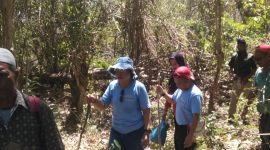 Rombongan Trecking Sedang Menyusuri Kawasan Hutan Konservasi. Nampak Ketua Tim Penggerak PKK Ngada, Ibu Blandina Mamo dan Bupati Ngada, Raymundus Bena. (Foto: Elfrat Frans Dhena)