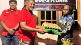 Ketua DPC PDIP Ngada, Wilfridus Muga menyerahkan bantuan sembako kepada salah satu korban gempa di Ngada. (Foto: Dok. DPC PDIP Ngada).