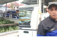 Dari Kebun ke Posko: Desa Beapawe Kerahkan Hasil Hortikultura untuk Korban Gempa Ngada. (Elfrat Frans Dhena)