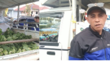 Dari Kebun ke Posko: Desa Beapawe Kerahkan Hasil Hortikultura untuk Korban Gempa Ngada. (Elfrat Frans Dhena)