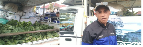 Dari Kebun ke Posko: Desa Beapawe Kerahkan Hasil Hortikultura untuk Korban Gempa Ngada. (Elfrat Frans Dhena)