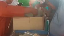 WALHI Nyalakan Dapur Solidaritas di Riung, 250 Korban Gempa Dilayani Setiap Hari. (Foto: Elfrat Frans Dhena)