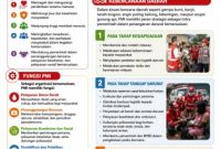 Saat Bencana Datang, Jangan Hanya Menonton! PMI Ngada Ajak Warga Turun Jadi Relawan Kemanusiaan.