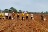 Kapolsek Pasar Kemis AKP Humaedi, S.H., bersama perwakilan pemerintah kecamatan, pemerintah desa, TNI, penyuluh pertanian, dan kelompok tani mengikuti kegiatan penanaman jagung dalam rangka mendukung program ketahanan pangan nasional.