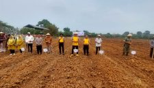Kapolsek Pasar Kemis AKP Humaedi, S.H., bersama perwakilan pemerintah kecamatan, pemerintah desa, TNI, penyuluh pertanian, dan kelompok tani mengikuti kegiatan penanaman jagung dalam rangka mendukung program ketahanan pangan nasional.