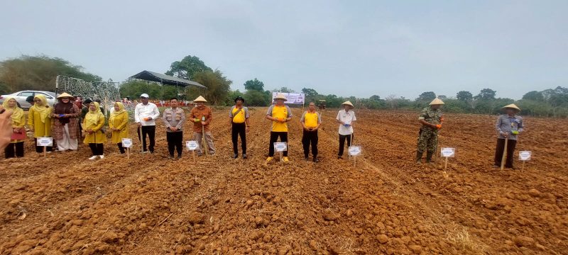 Kapolsek Pasar Kemis AKP Humaedi, S.H., bersama perwakilan pemerintah kecamatan, pemerintah desa, TNI, penyuluh pertanian, dan kelompok tani mengikuti kegiatan penanaman jagung dalam rangka mendukung program ketahanan pangan nasional.