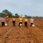 Kapolsek Pasar Kemis AKP Humaedi, S.H., bersama perwakilan pemerintah kecamatan, pemerintah desa, TNI, penyuluh pertanian, dan kelompok tani mengikuti kegiatan penanaman jagung dalam rangka mendukung program ketahanan pangan nasional.