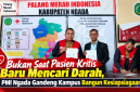 Bukan Saat Pasien Kritis Baru Mencari Darah, PMI Ngada Gandeng Kampus Bangun Kesiapsiagaan. (Foto: Elfrat Frans Dhena)